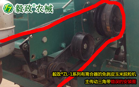毅政牌ZL1系列有離合器的免剝皮玉米脫粒機，主傳動三角帶錯誤安裝